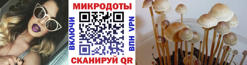 Псилоцибиновые грибы Cubensis  shop телеграм  Зима 